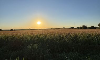 SE VENDE CAMPO SOBRE RUTA 11