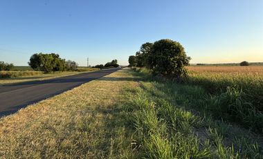SE VENDE CAMPO SOBRE RUTA 11