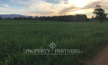 Se vende campo productivo a minutos de Loncoche