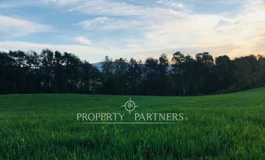 Se vende campo productivo a minutos de Loncoche