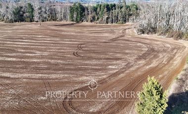 Se vende campo productivo a minutos de Loncoche