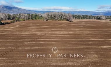 Se vende campo productivo a minutos de Loncoche