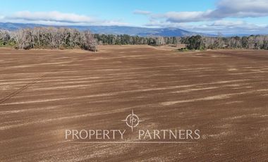 Se vende campo productivo a minutos de Loncoche