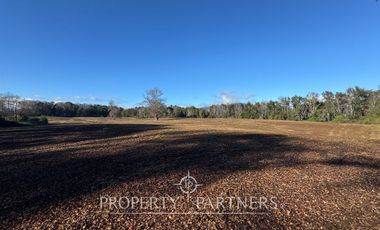 Se vende campo productivo a minutos de Loncoche