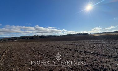 Se vende campo productivo a minutos de Loncoche