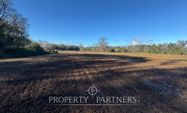 Se vende campo productivo a minutos de Loncoche