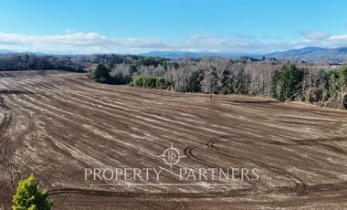 Se vende campo productivo a minutos de Loncoche