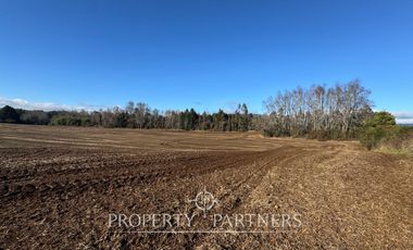 Se vende campo productivo a minutos de Loncoche