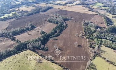 Se vende campo productivo a minutos de Loncoche