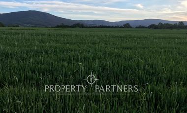 Se vende campo productivo a minutos de Loncoche