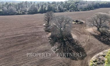 Se vende campo productivo a minutos de Loncoche