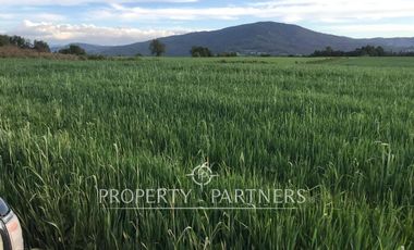 Se vende campo productivo a minutos de Loncoche