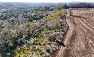 Se vende campo productivo a minutos de Loncoche