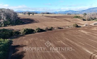 Se vende campo productivo a minutos de Loncoche