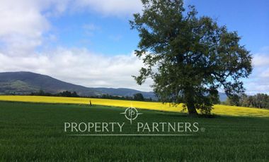 Se vende campo productivo a minutos de Loncoche