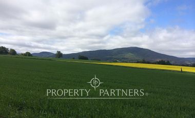 Se vende campo productivo a minutos de Loncoche
