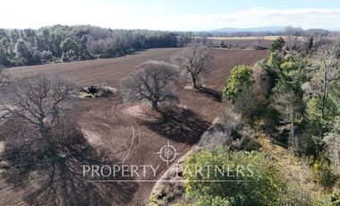 Se vende campo productivo a minutos de Loncoche