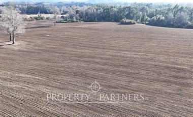 Se vende campo productivo a minutos de Loncoche