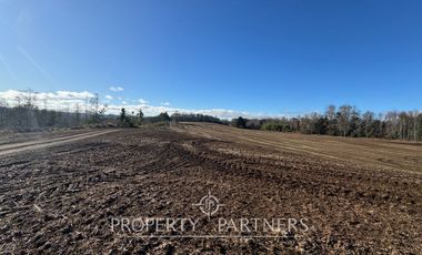 Se vende campo productivo a minutos de Loncoche