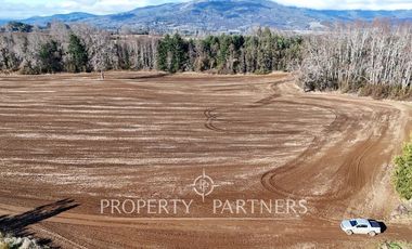 Se vende campo productivo a minutos de Loncoche