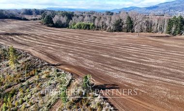 Se vende campo productivo a minutos de Loncoche