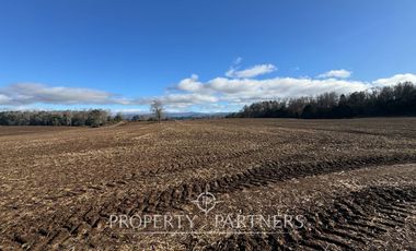 Se vende campo productivo a minutos de Loncoche