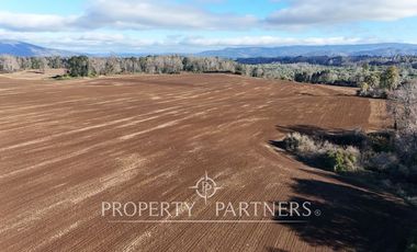 Se vende campo productivo a minutos de Loncoche