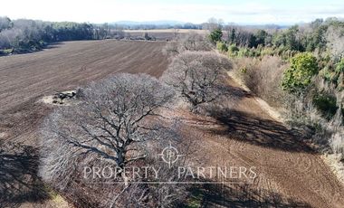 Se vende campo productivo a minutos de Loncoche