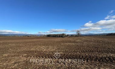 Se vende campo productivo a minutos de Loncoche