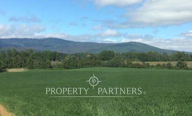 Se vende campo productivo a minutos de Loncoche