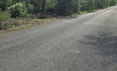 ¡Excelente Rancho en venta! Chemax, Yucatán.