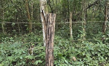 ¡Excelente Rancho en venta! Chemax, Yucatán.