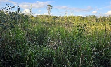 ¡Excelente Rancho en venta! Chemax, Yucatán.