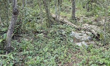 ¡Excelente Rancho en venta! Chemax, Yucatán.