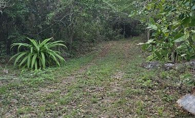 ¡Excelente Rancho en venta! Chemax, Yucatán.