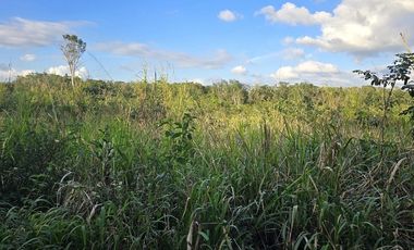 ¡Excelente Rancho en venta! Chemax, Yucatán.