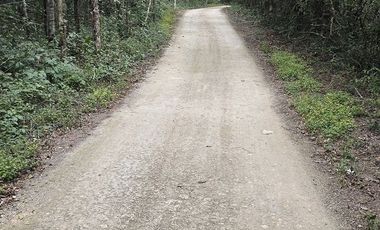 ¡Excelente Rancho en venta! Chemax, Yucatán.