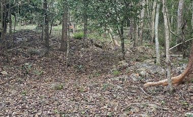 ¡Excelente Rancho en venta! Chemax, Yucatán.