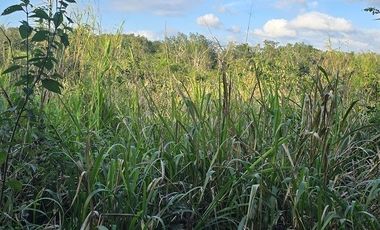 ¡Excelente Rancho en venta! Chemax, Yucatán.