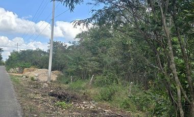 ¡Excelente Rancho en venta! Chemax, Yucatán.