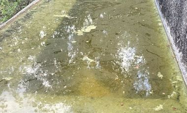 ¡Excelente Rancho en venta! Chemax, Yucatán.