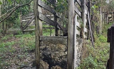 ¡Excelente Rancho en venta! Chemax, Yucatán.