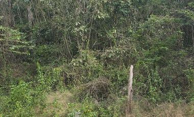 ¡Excelente Rancho en venta! Chemax, Yucatán.