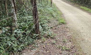 ¡Excelente Rancho en venta! Chemax, Yucatán.