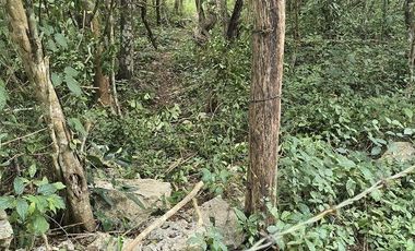 ¡Excelente Rancho en venta! Chemax, Yucatán.