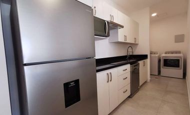 Departamento en Renta Torre Luzia