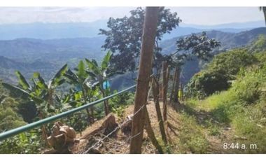 Lote con cultivo para la venta en el sector de combia, Pereira!!!