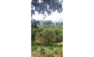 Lote con cultivo para la venta en el sector de combia, Pereira!!!