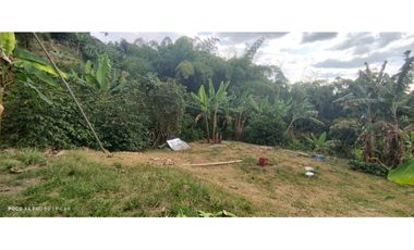 Lote con cultivo para la venta en el sector de combia, Pereira!!!