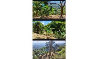 Lote con cultivo para la venta en el sector de combia, Pereira!!!